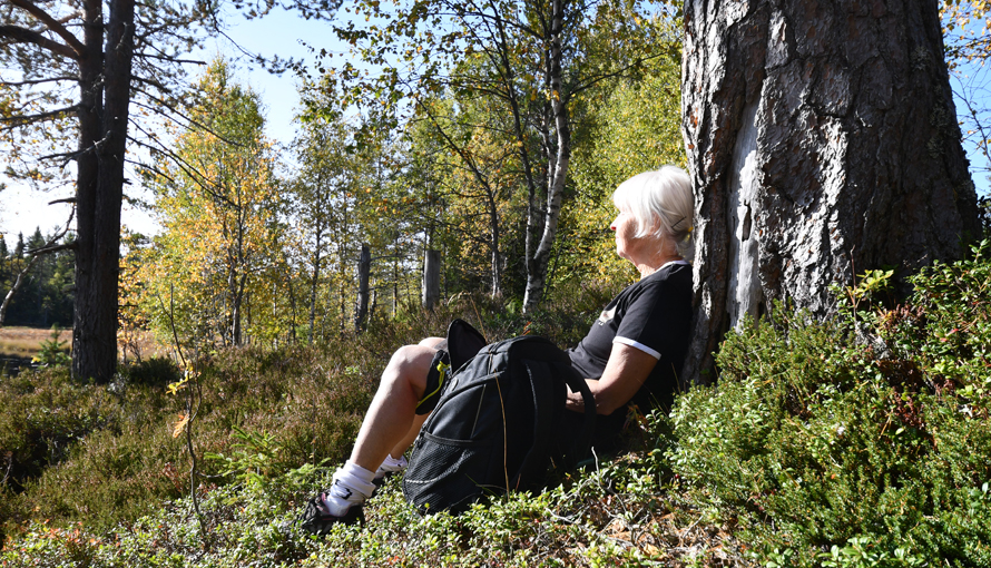 Foto på en kvinna som sitter och vilar mot ett träd