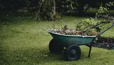 En skottkärra fylld med ogräs i en trädgård
