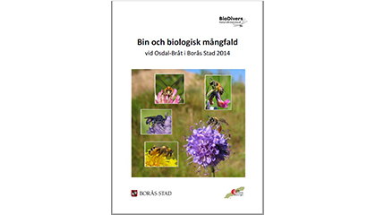 Rapport: Bin och biologisk mångfald