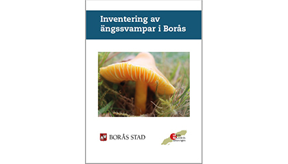 Rapport: Inventering av ängssvampar i Borås