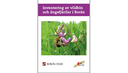 Rapport: Inventering av vildbin och ängsfjärilar i Borås