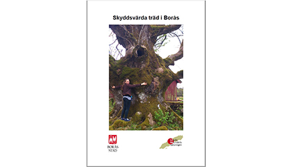 Rapport: Skyddsvärda träd i Borås