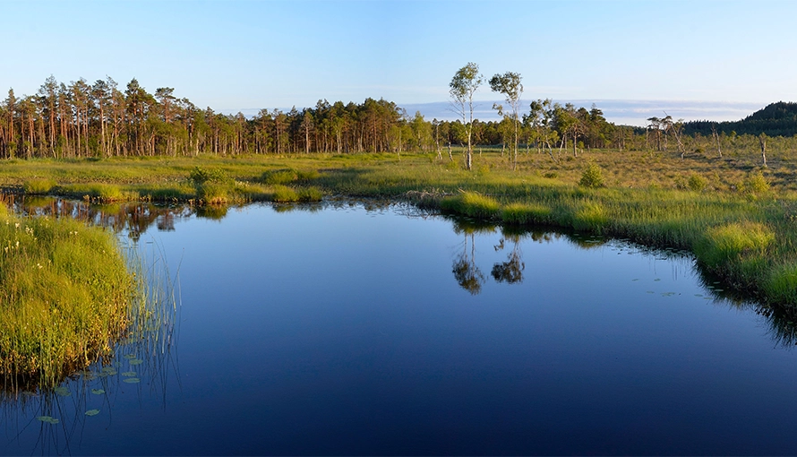 Landskapsbild på Vänga mosse med vattendrag 