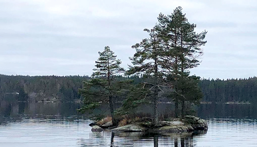 Bild på ö i sjön