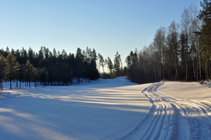 Foto på skidspår i Bredared i vintertid