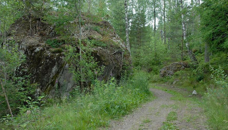 Skogsväg som går längst med en stor sten