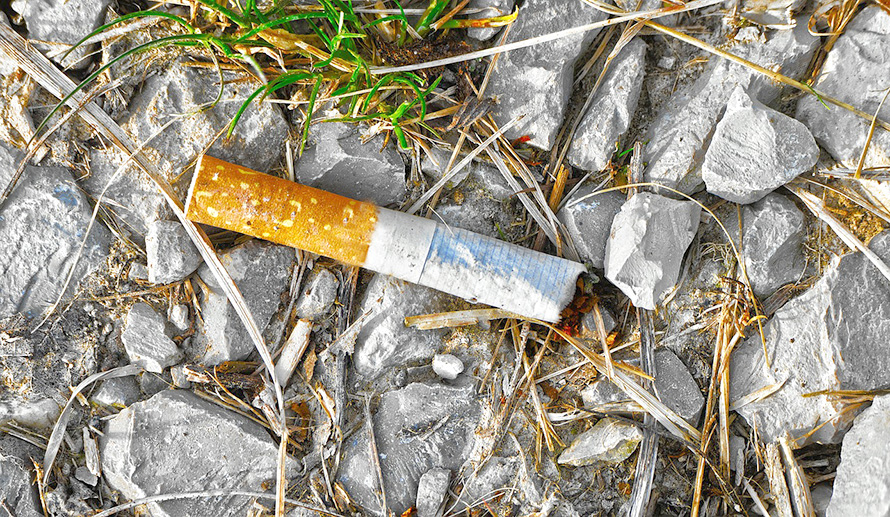 Bild på cigarettfimp som ligger på marken