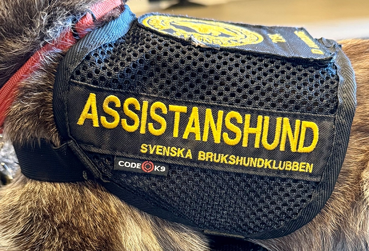 Svart tjänstetäcke med gul text där det står Assistanshund Svenska brukshundsklubben