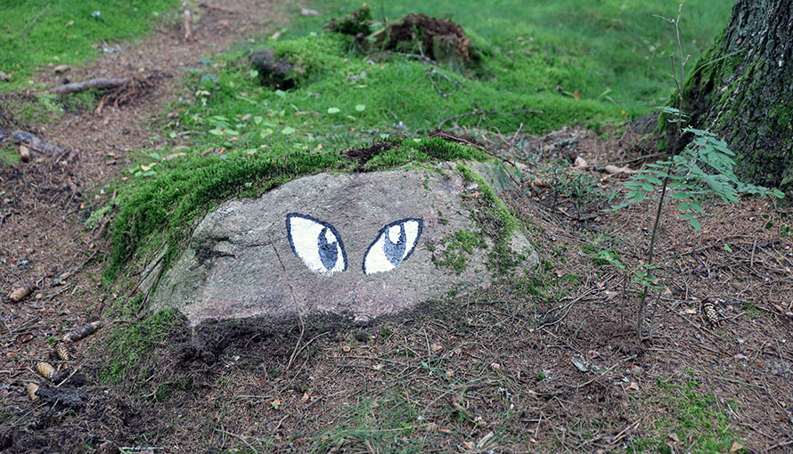 Ögon målade på en sten