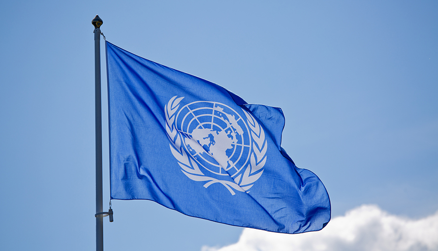Förenta nationernas flagga