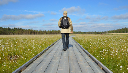 Man on a wooden walkway in Vänga Wetland Nature Reserve.
