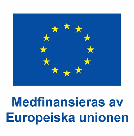 Bild EU-flagga, text Medfinansieras av Europeiska unionen