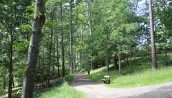 Gångväg i Ramnaparken