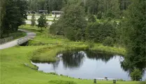 Damm på Kransmossen