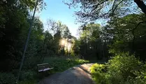 Grusväg som solen lyser på