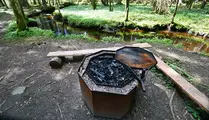 Grillplats i skogen vid en å