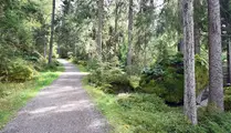 Skogsväg längs Tosserydsrundan