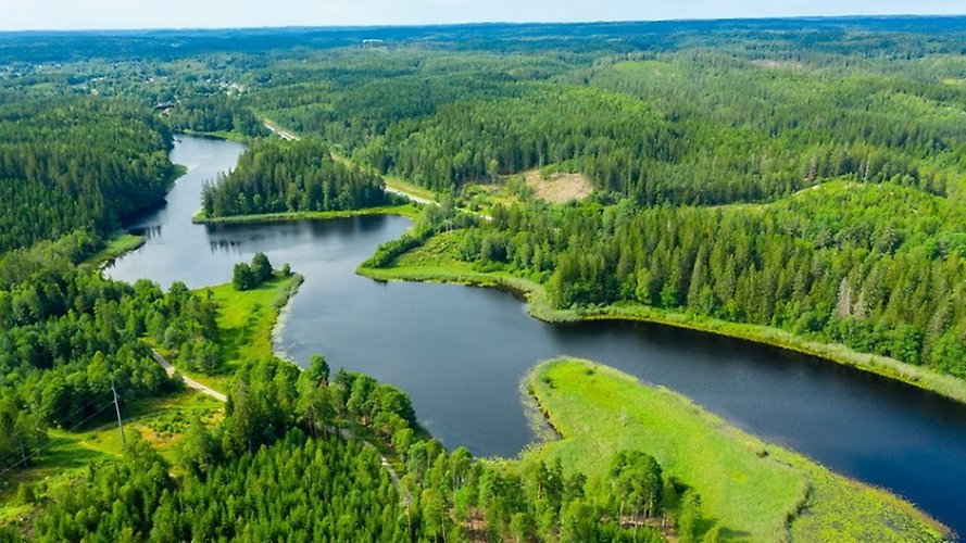 Drönarfoto av Guttasjön som slingrar sig mellan träd och ängsmarker